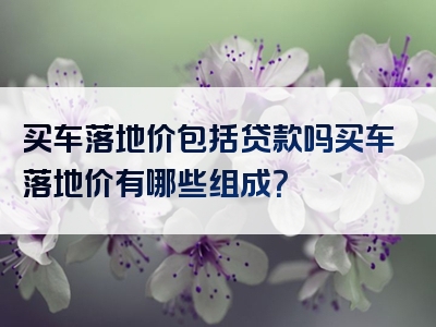 买车落地价包括贷款吗买车落地价有哪些组成？