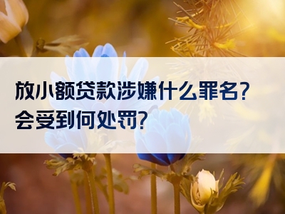 放小额贷款涉嫌什么罪名？会受到何处罚？