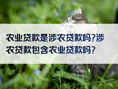 农业贷款是涉农贷款吗？涉农贷款包含农业贷款吗？