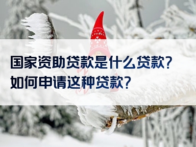 国家资助贷款是什么贷款？如何申请这种贷款？