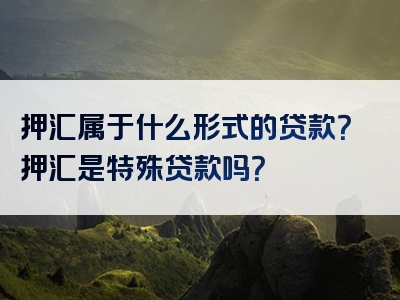 押汇属于什么形式的贷款？押汇是特殊贷款吗？