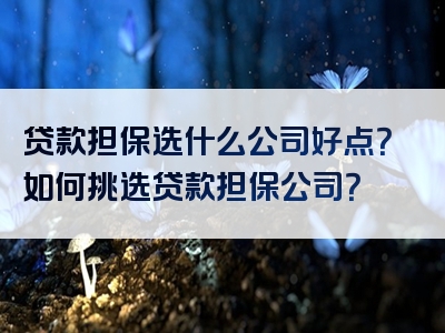 贷款担保选什么公司好点？如何挑选贷款担保公司？