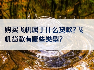 购买飞机属于什么贷款？飞机贷款有哪些类型？