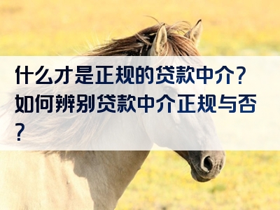 什么才是正规的贷款中介？如何辨别贷款中介正规与否？