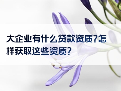 大企业有什么贷款资质？怎样获取这些资质？