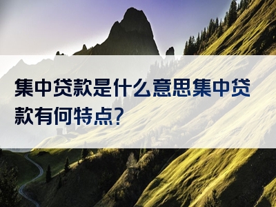 集中贷款是什么意思集中贷款有何特点？