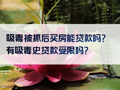 吸毒被抓后买房能贷款吗？有吸毒史贷款受限吗？