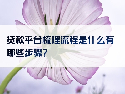 贷款平台梳理流程是什么有哪些步骤？