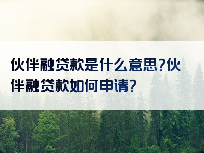 伙伴融贷款是什么意思？伙伴融贷款如何申请？