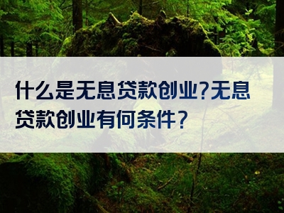 什么是无息贷款创业？无息贷款创业有何条件？