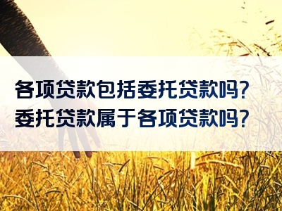 各项贷款包括委托贷款吗？委托贷款属于各项贷款吗？