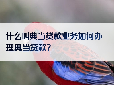 什么叫典当贷款业务如何办理典当贷款？