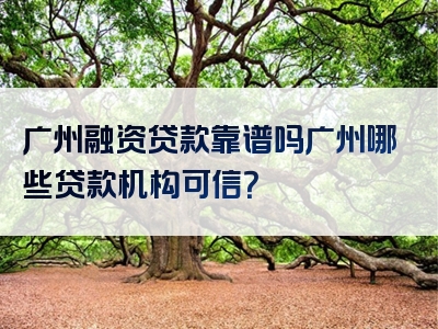 广州融资贷款靠谱吗广州哪些贷款机构可信？