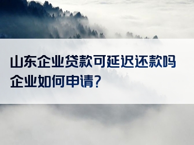 山东企业贷款可延迟还款吗企业如何申请？