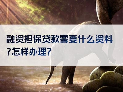 融资担保贷款需要什么资料？怎样办理？