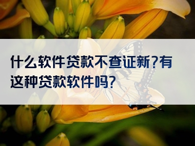 什么软件贷款不查证新？有这种贷款软件吗？