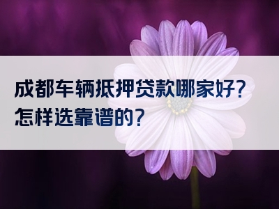 成都车辆抵押贷款哪家好？怎样选靠谱的？