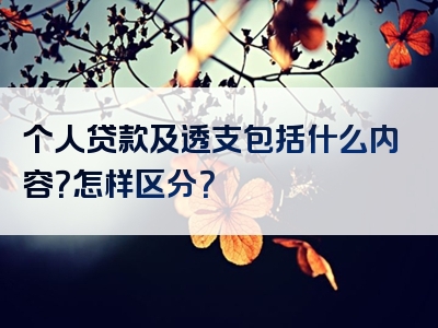 个人贷款及透支包括什么内容？怎样区分？