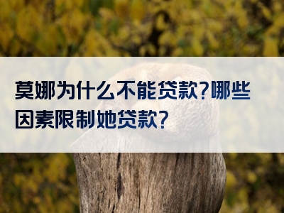 莫娜为什么不能贷款？哪些因素限制她贷款？