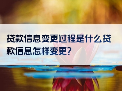 贷款信息变更过程是什么贷款信息怎样变更？