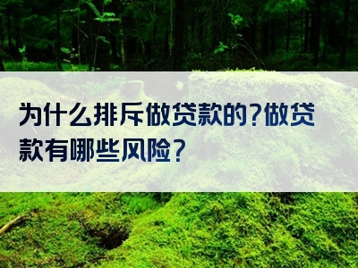 为什么排斥做贷款的？做贷款有哪些风险？