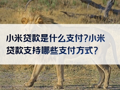 小米贷款是什么支付？小米贷款支持哪些支付方式？