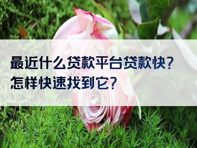 最近什么贷款平台贷款快？怎样快速找到它？