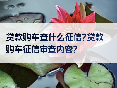 贷款购车查什么征信？贷款购车征信审查内容？