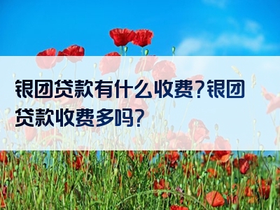 银团贷款有什么收费？银团贷款收费多吗？