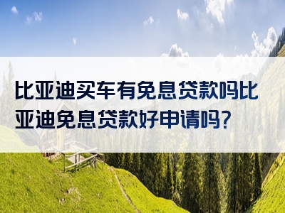 比亚迪买车有免息贷款吗比亚迪免息贷款好申请吗？