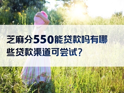 芝麻分550能贷款吗有哪些贷款渠道可尝试？