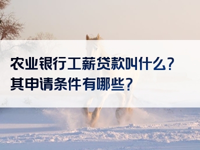 农业银行工薪贷款叫什么？其申请条件有哪些？