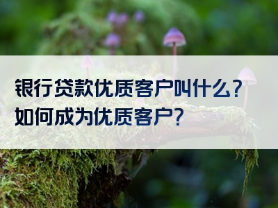 银行贷款优质客户叫什么？如何成为优质客户？