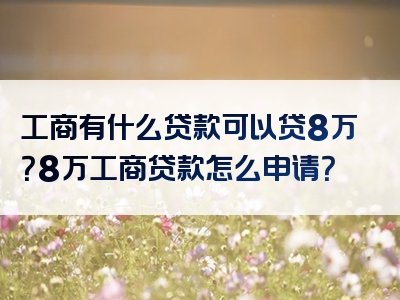 工商有什么贷款可以贷8万？8万工商贷款怎么申请？