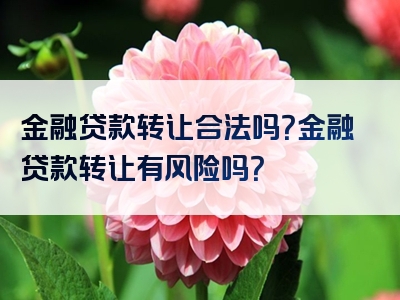 金融贷款转让合法吗？金融贷款转让有风险吗？