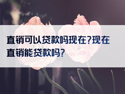 直销可以贷款吗现在？现在直销能贷款吗？