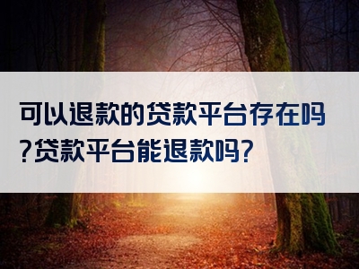 可以退款的贷款平台存在吗？贷款平台能退款吗？