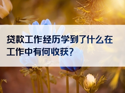 贷款工作经历学到了什么在工作中有何收获？