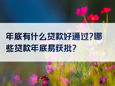 年底有什么贷款好通过？哪些贷款年底易获批？