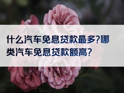 什么汽车免息贷款最多？哪类汽车免息贷款额高？