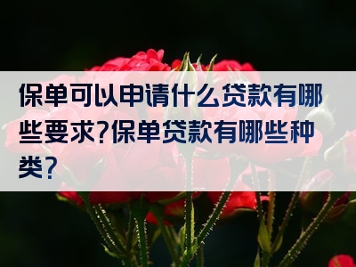 保单可以申请什么贷款有哪些要求？保单贷款有哪些种类？