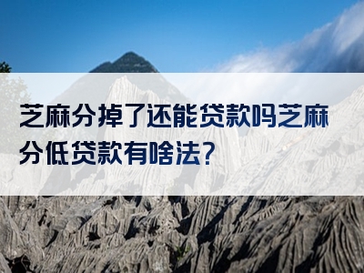 芝麻分掉了还能贷款吗芝麻分低贷款有啥法？