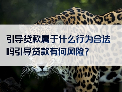 引导贷款属于什么行为合法吗引导贷款有何风险？