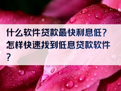 什么软件贷款最快利息低？怎样快速找到低息贷款软件？