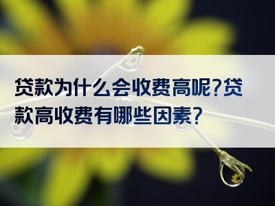 贷款为什么会收费高呢？贷款高收费有哪些因素？