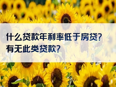 什么贷款年利率低于房贷？有无此类贷款？