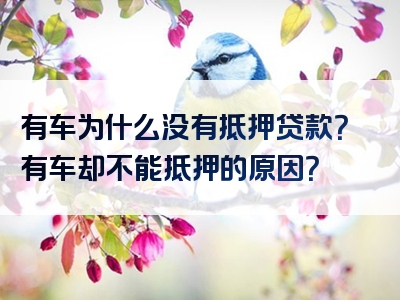 有车为什么没有抵押贷款？有车却不能抵押的原因？