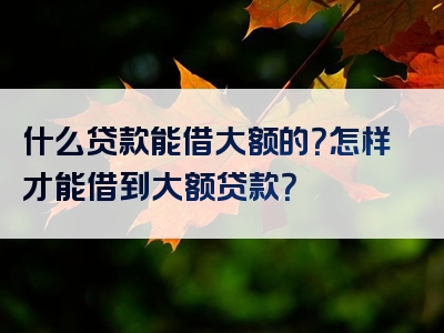 什么贷款能借大额的？怎样才能借到大额贷款？