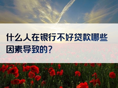 什么人在银行不好贷款哪些因素导致的？