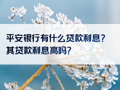 平安银行有什么贷款利息？其贷款利息高吗？